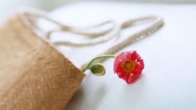 球王会体育官方网